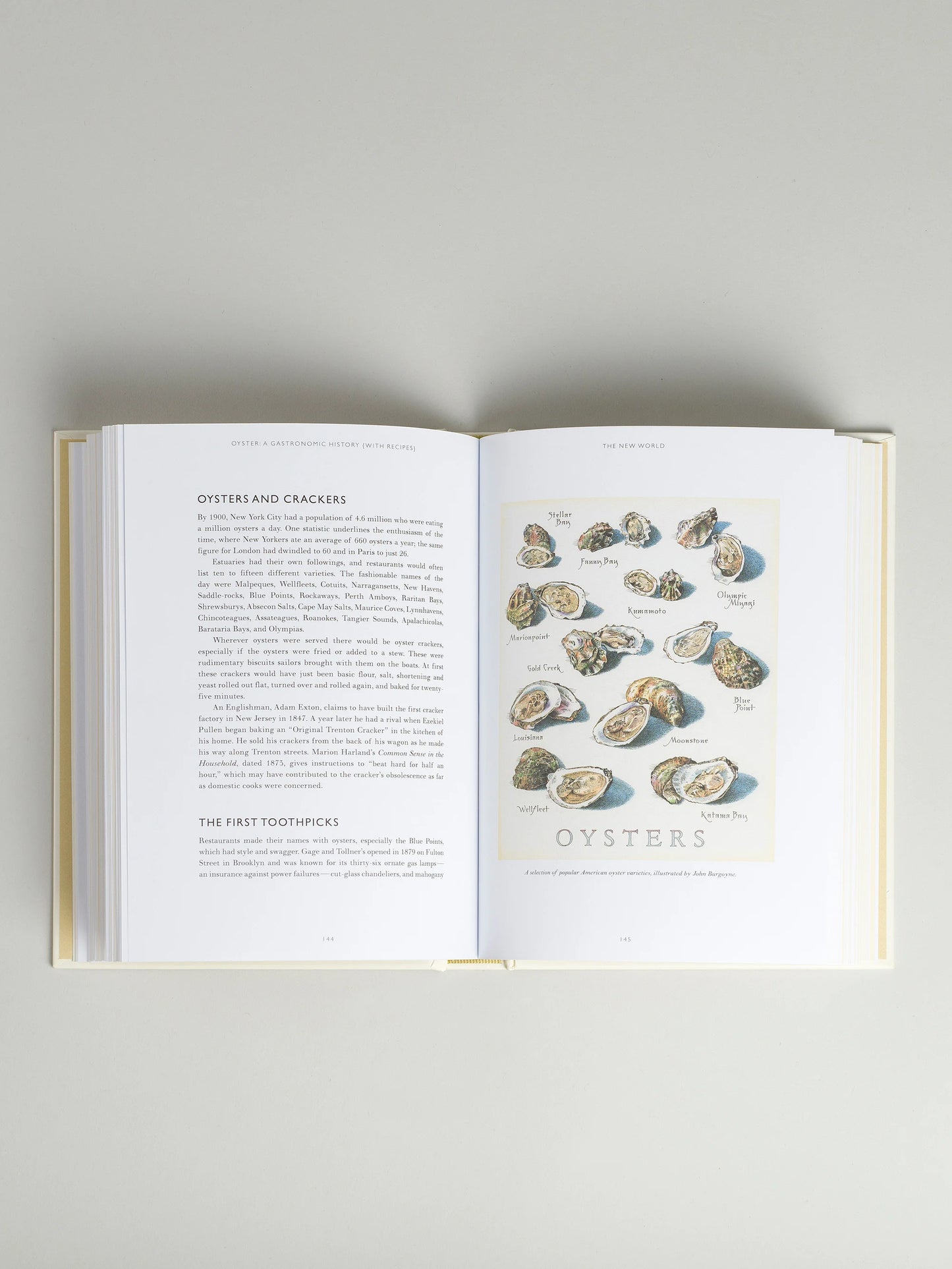 Coffee Table Book OYSTER – A Gastronomic History