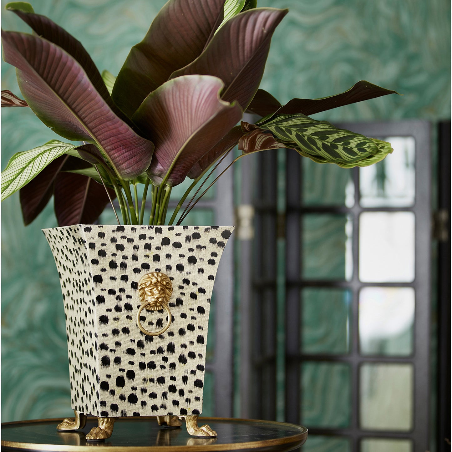 Kruka ROAR & BLOOM